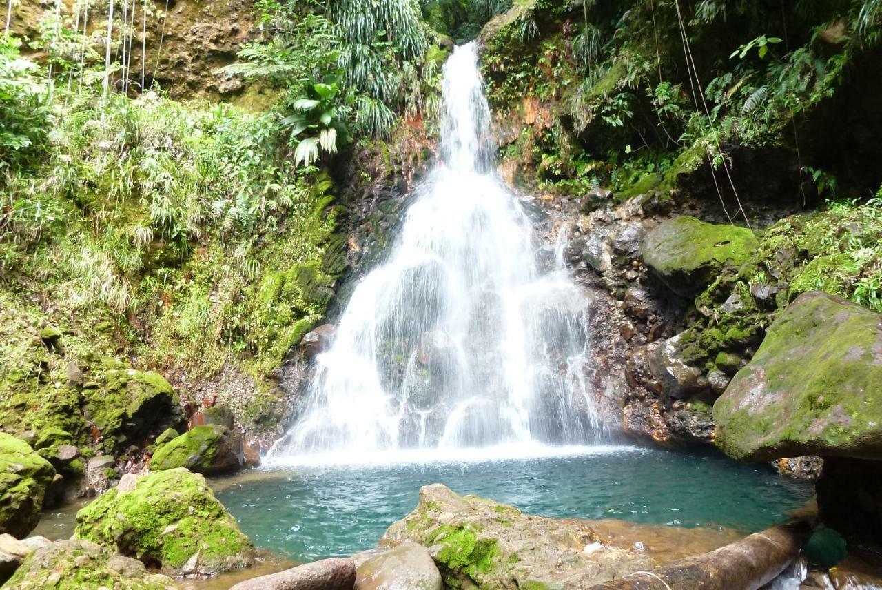 Domaine De L'Anse Des Rochers แซงต์-ฟรองซัวส์ ภายนอก รูปภาพ